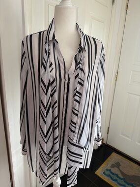 Cato Striped Sheer Button-Front Blouse in Black and White size20w
